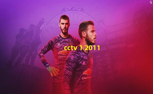 cctv 1 2011